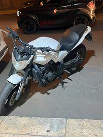 Honda hornet