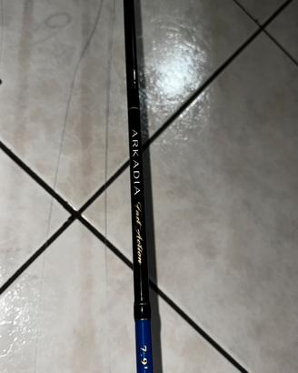 Canna Aqs Arkadia, mulinello Shimano Naxave