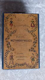 Vintage  Petit Metamorphoses 