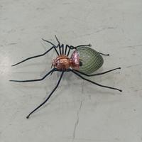 lampada ragno rossini 