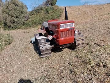 Trattore cingolato fiat 455 (anno 71)