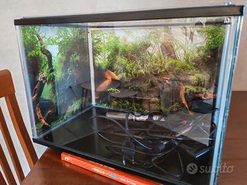   Acquario 30 Litri Completo