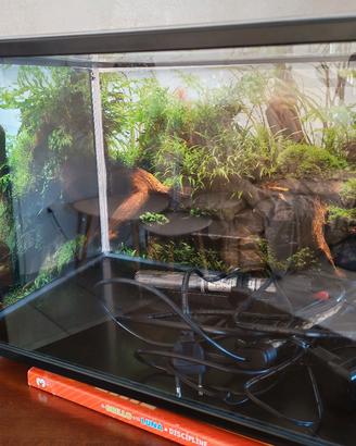   Acquario 30 Litri Completo