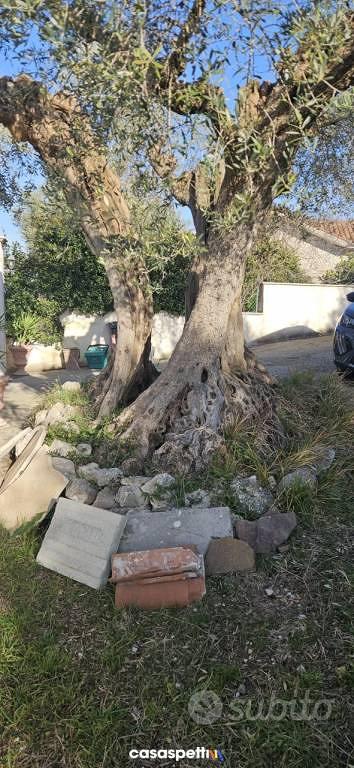 Terreno di 4500 m² a Monterotondo - Altro