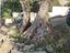 Immagine 6