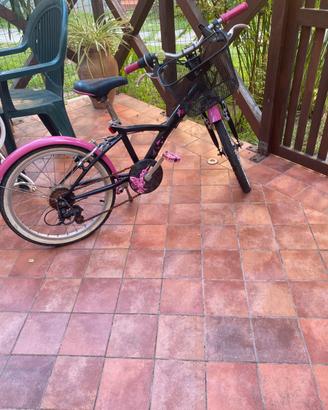 Bicicletta per bambins