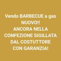 Barbecue a gas pari a Nuovo