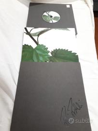 Opera di Paolo Piscitelli