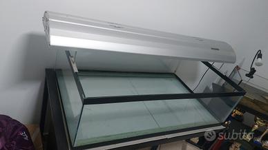 acquario con lampada