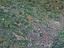 Immagine 19