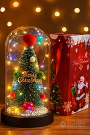 Decorazione Natalizia con Luci LED a Batteria 