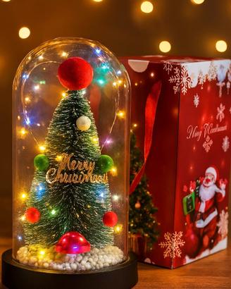 Decorazione Natalizia con Luci LED a Batteria 