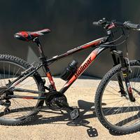 Mountain Bike Rollmar ragazzo