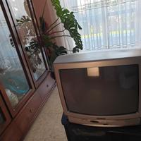 Televisore 21"