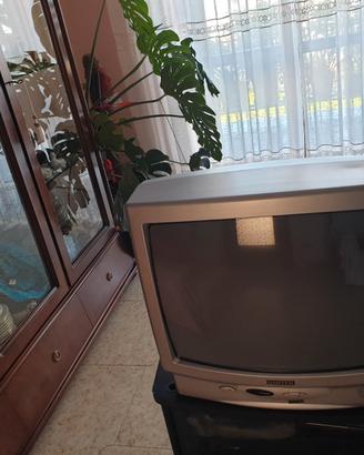 Televisore 21"