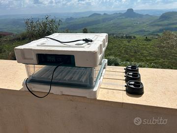 Incubatrice 48 posti