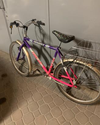 MTB uomo