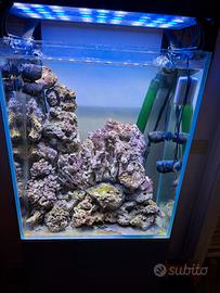 acquario marino