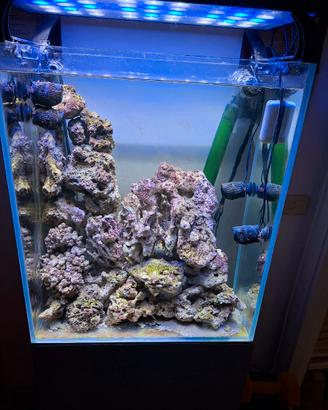 acquario marino
