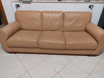 divani di pelle 