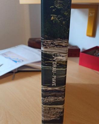 libro dell'alto  beilunese