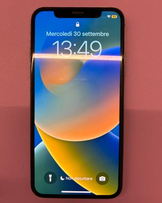 Iphone X da 256gb