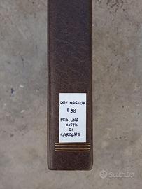 Film Super8 Due Magnum 38 per una città di carogne