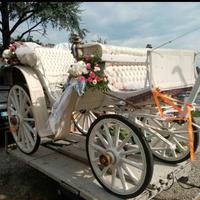 Carrozza per cavallo
