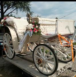 Carrozza per cavallo