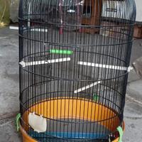 Gabbia per  uccellini