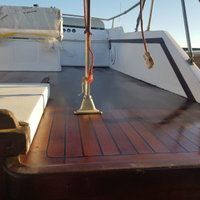 Barca Natante Chris Craft 10 metri con Fly T.D 3.6