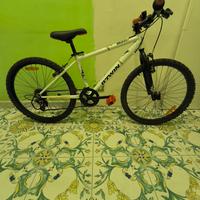 Bicicletta Rock Rider 300