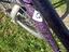 Immagine 5