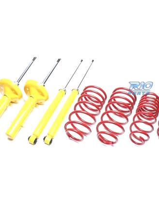 SOSPENSIONE SPORTIVA CITROEN C3 PLURIEL 2003-2010