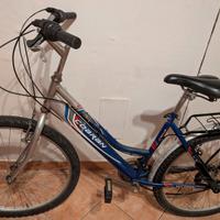Bici a 20 euro