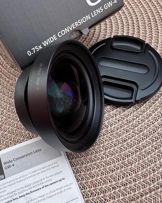 Ricoh GW 4