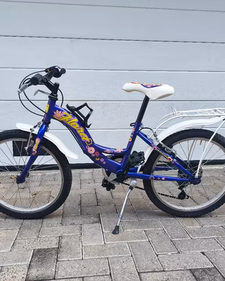 Bicicletta 20