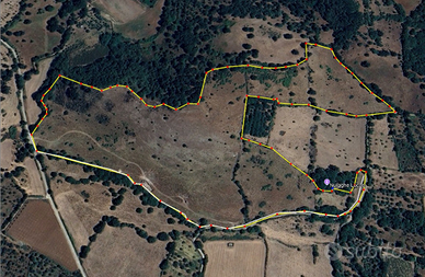 Terreno agricolo 12 ettari