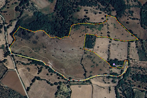 Terreno agricolo 12 ettari