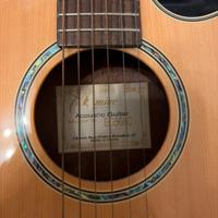 Chitarra Acustica Takamine EG568C