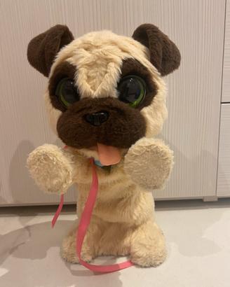 Carlino Furreal friends