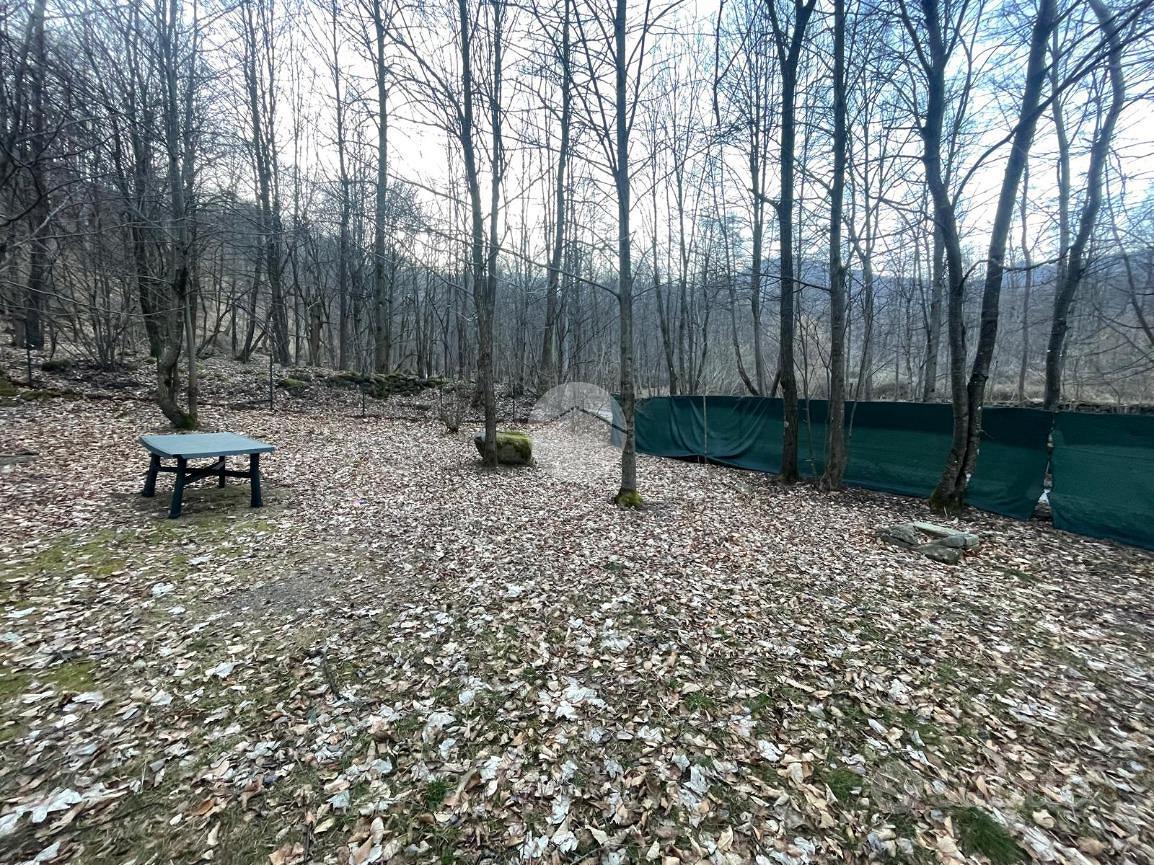TER. AGRICOLO A GIAVENO - Vista 5