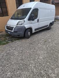 Veicoli commerciali