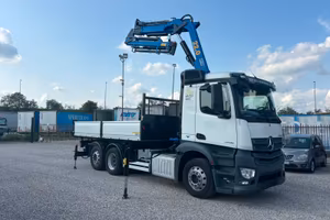 Camion gru ribaltabile con gru