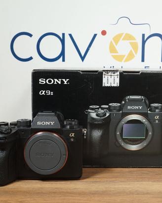 Sony A9II (1132 scatti)