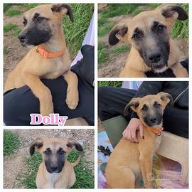 Piccoli cippati,sani e tenerissimi