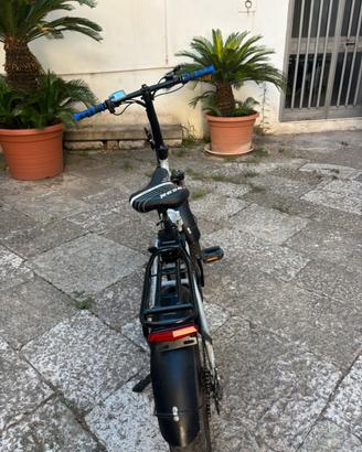 Bicicletta elettrica