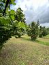 ter-agricolo-a-gallese