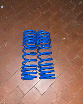 molle assetto esparco per ford fiesta
