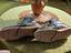 Immagine 1